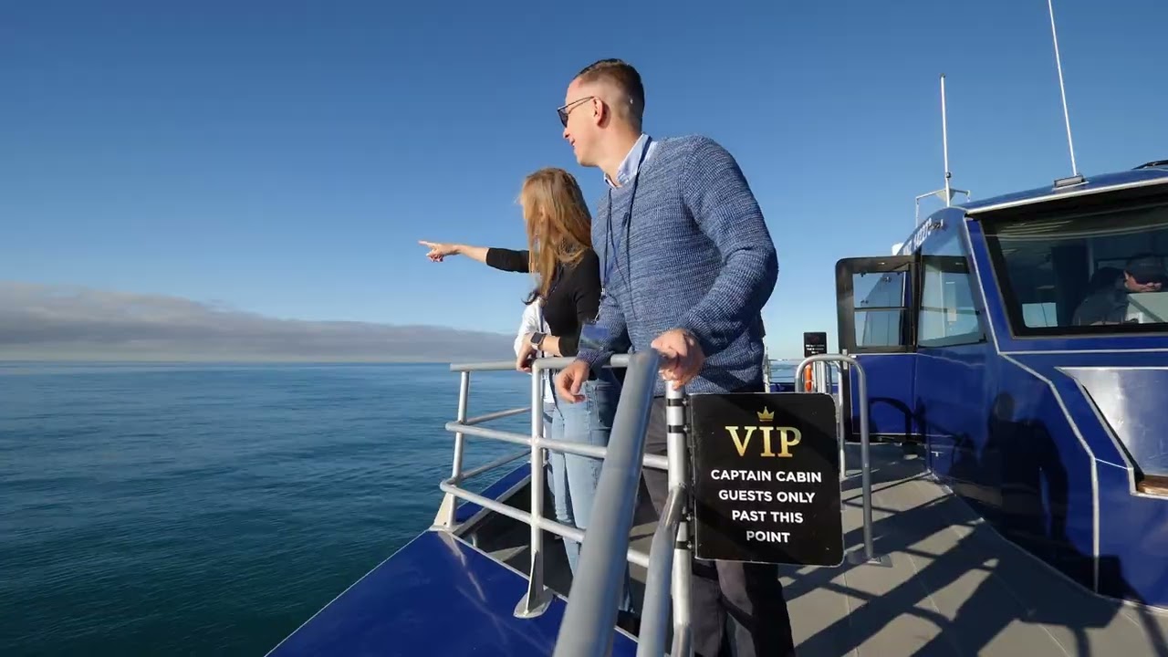 Catch a captivating peek of Whale watching experience.