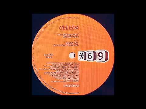 Celeda - Reach Up (Peter Rauhofers Original Mix)