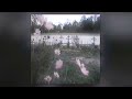 Snave Whatsaheart Fxlling In Love Slowed Reverb