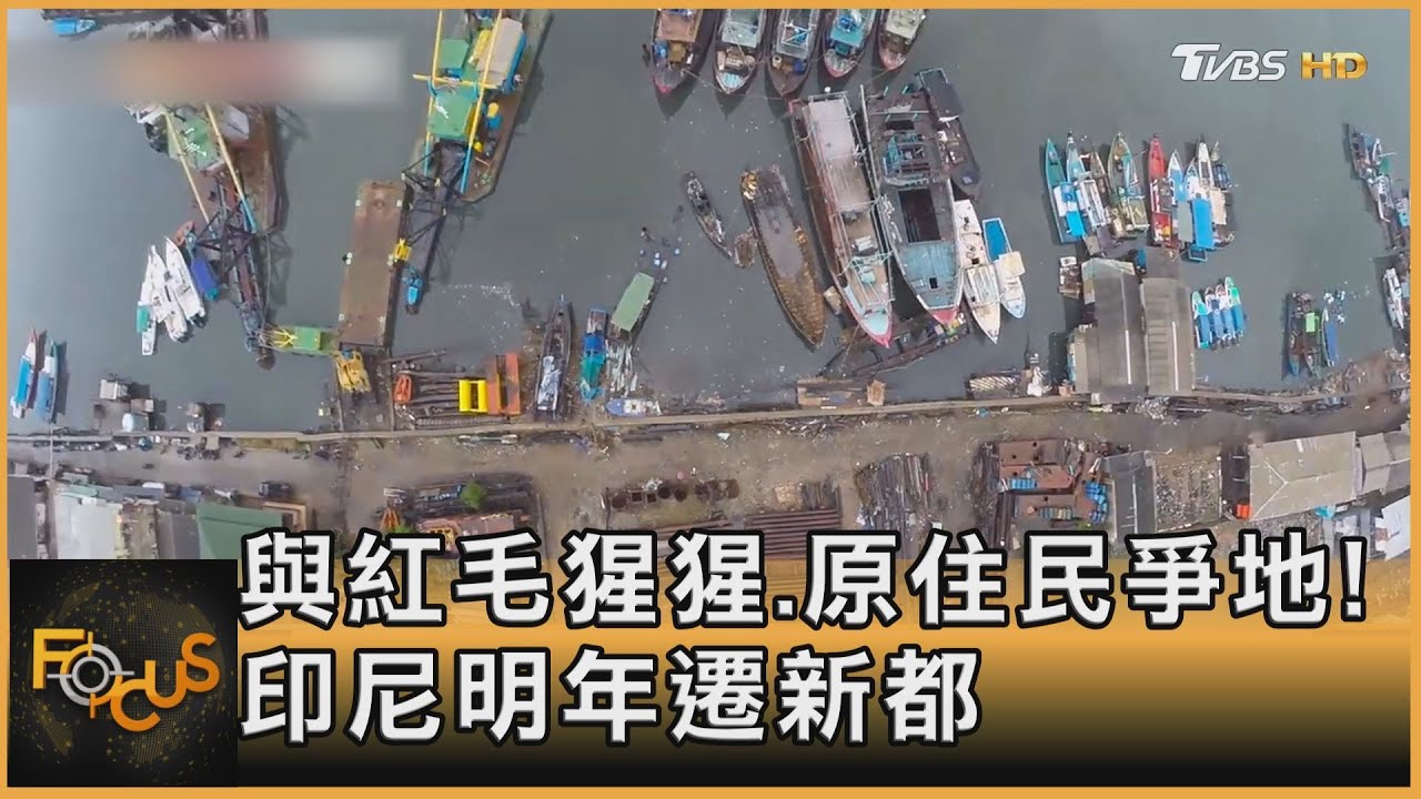 與紅毛猩猩.原住民爭地!印尼明年遷新都