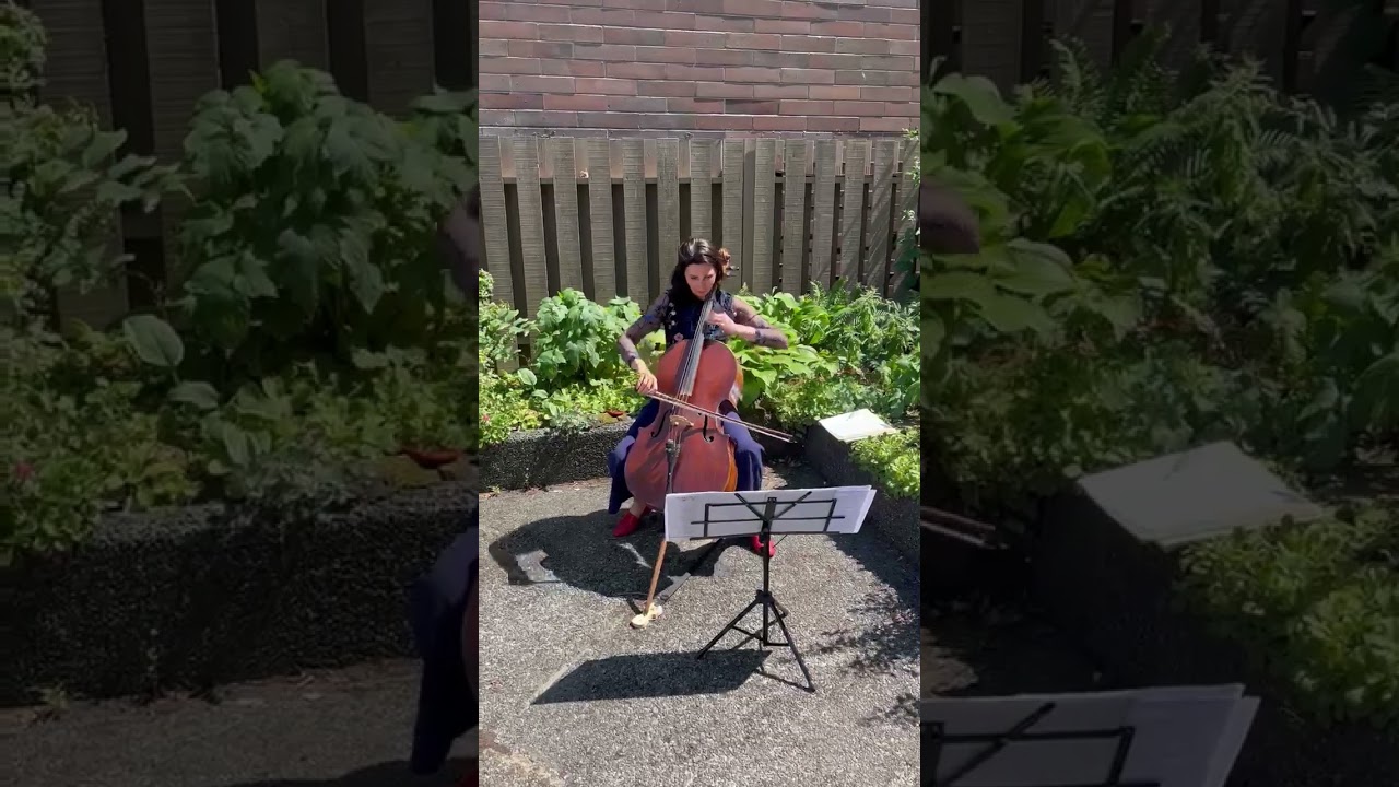 Promotional video thumbnail 2 for CelloWithElena