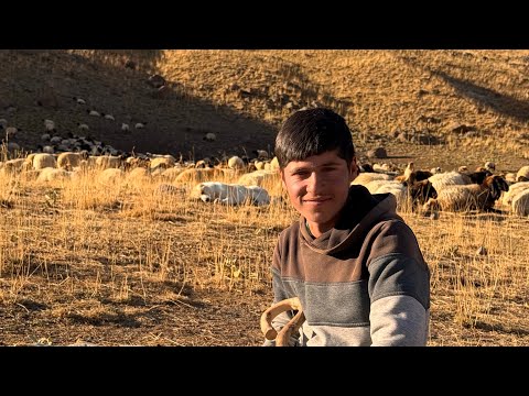60-DAY MIGRATION WITH 16-YEAR-OLD KOÇER SHEEP