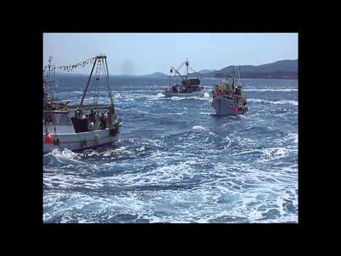 Neću više na more - STARA SRDELA - Makarska