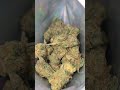 Super Greens