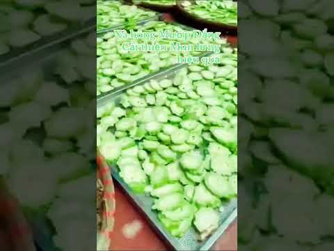 Video review Xà bông sinh dược mướp đắng HTX Sinh Dược 110g – 55g