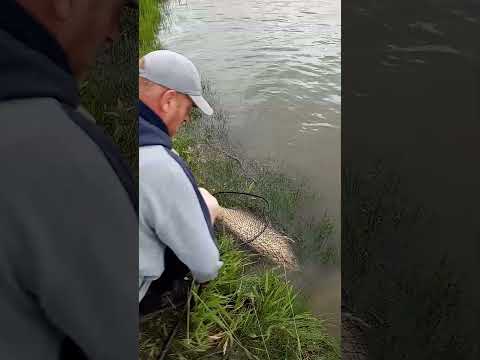 Monster On 6 lb Test .(Part 1)