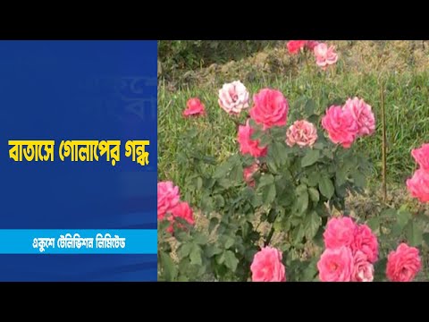 বাতাসে গোলাপের গন্ধ; স্বাধীনতা সংগ্রামের ছয় দফার সাক্ষী