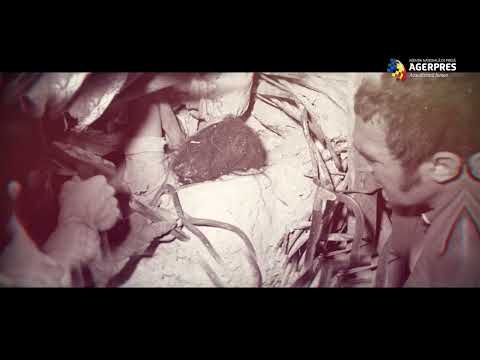 Cutremurul care a zguduit România: 4 martie 1977