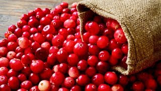 5 Amazing Health Benefits Of Cranberries