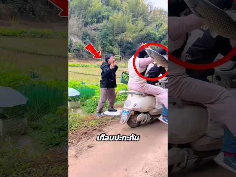 เกือบปะทะจนปลาร่วง! สุดท้ายกลายเป็นเมนูสุดแซ่บ