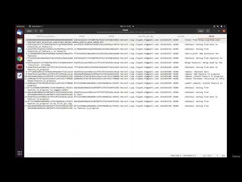 Hidden git repositories