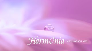 HarmOnia  |  MIZU KARAGA MIZU  |  528.44Hz特殊音源  | 水の惑星・地球  |   ハルモニア  | 自らが水  |   調和を司る女神   |  ハーモニー