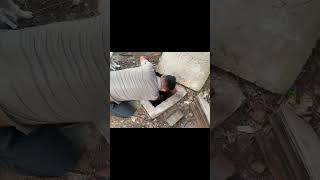 I Heard a Cry for Help… A Puppy Was Trapped in a Dirty Drain