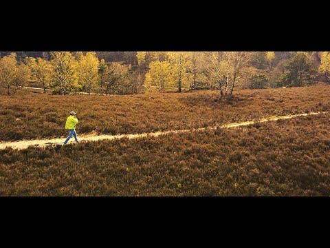 LASKO - VERLASSE DAS HAUS (prod. by THE CRVV)