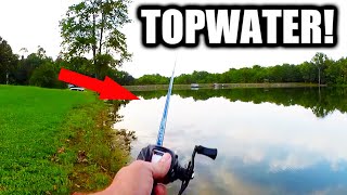 The BEST TIME for Topwater Fishing is NOW! (Topwater Bass Fishing)