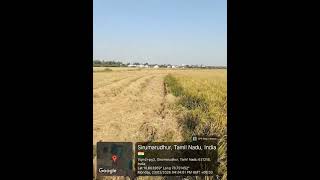  Agricultural Land for Sale in Lalgudi, Tiruchirappalli