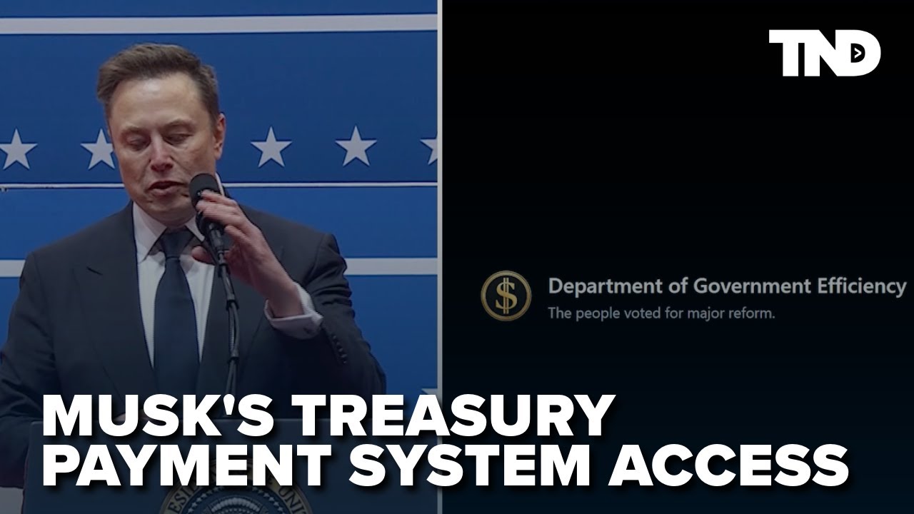 Elon Musk granted access to Treasury's payment system. Why?