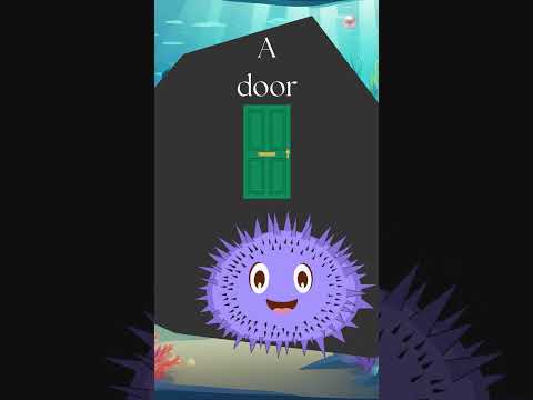 Learn what a RECTANGLE is with Rudi the Sea Urchin!
