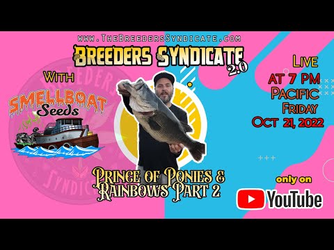 Breeders Syndicate 2.0 - Smellboat Returns Part 2 S05 E09