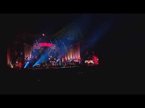 잔나비 - Surprise! (Fantastic old-fashioned returns! 190831)