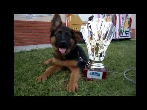 stefano albertini the best!! :-)