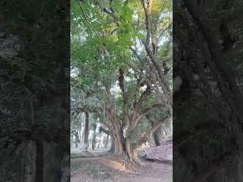 Paisajes, Santa Ana Tucumán Fotos del pasado