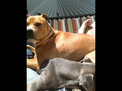 chilling with snow AND NETANYA.......for ELAD& OREL