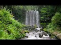 Waterfall Flowing In A Mountain Forest 24 7 Waterfall Sounds Flowing Water White Noise For Sleep