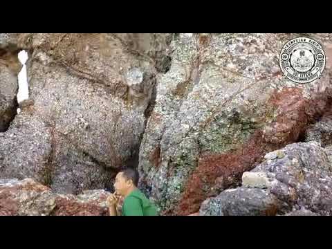 Nok Pilih Bining - Rodi Istana