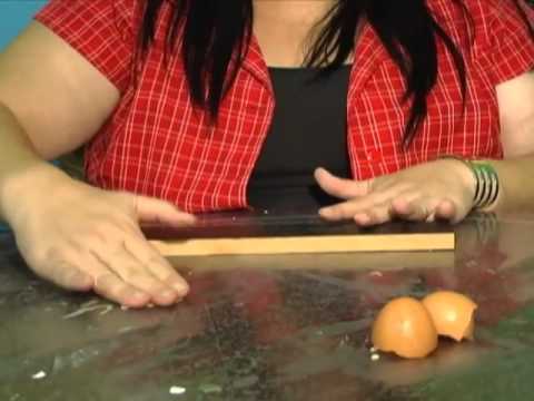 Learn how to decorate crafts with eggshells.