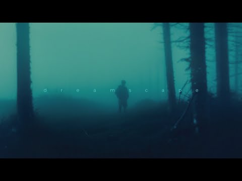 insensible, énouement - vertigo (sped up)