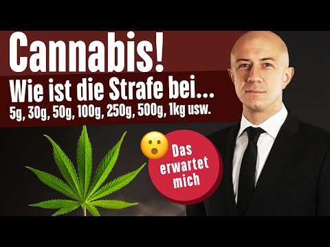 Cannabis - What punishment? How is possession of marijuana and hashish punished?