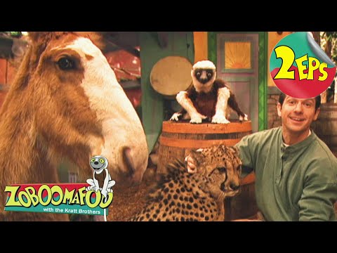 Fast and slow + Horses | Zoboomafoo - Double Feature | Full Episodes 27 + 28