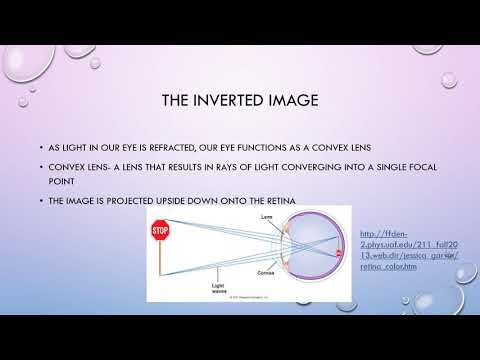 Yermolov, I.- Oh Say Can You See