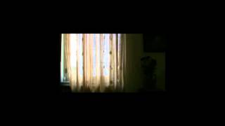 Heco Celan speakers plays: Stravinsky, Rite of Spring - Sacrificial Dance RECORDED FROM HIFI SYSTEM