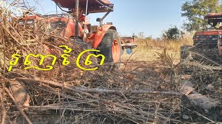 ត្រាក់ទ័ររុញព្រៃ_Kubota M6040su​ Tractor Pushing Over Trees (Cambodia Farm)