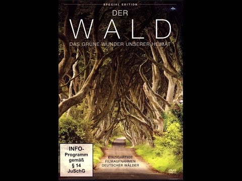 Der Wald - Das grüne Wunder unserer Heimat