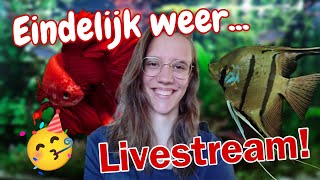 LIVE 20u: EINDELIJK weer een LIVESTREAM! Jullie vragen Beantwoorden!//Nickey//