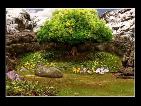 Quest for Glory 1 - 'Erana's Peace'  - guitar cover