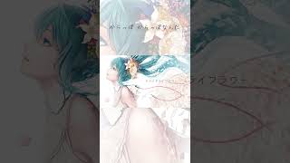 - #とあ #ドライドライフラワー #hatsunemiku #vocaloid