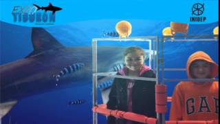 DIA 3 Expo Tiburon177