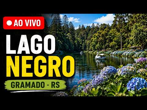 🔴 AO VIVO: LAGO NEGRO EM GRAMADO