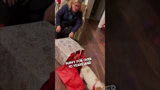 He surprised his mom with a puppy 👏❤️ @alexanderyork6799