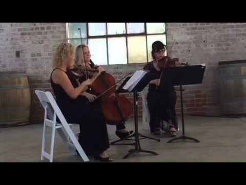 Promotional video thumbnail 1 for Harmony Strings