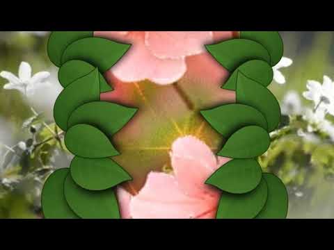 PEQUEÑA FLORECITA | Servio Rodríguez.