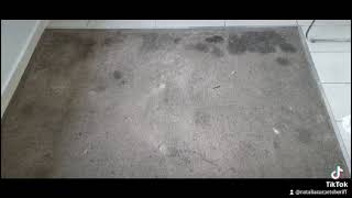 Preview of Natalia Carpet Sheriff- Carpet Cleaning Before and After.