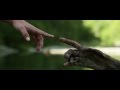 Diary of Dreams - Malice (by agale)