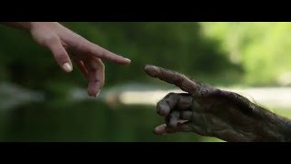 Diary of Dreams - Malice (by agale)