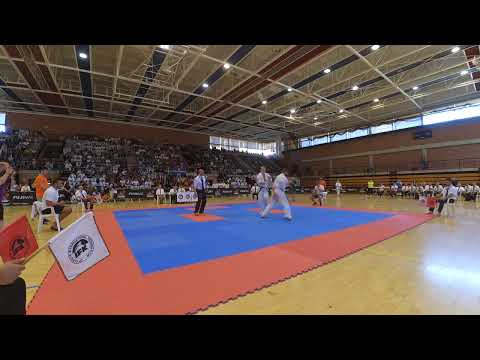 VI IFK WORLD CHAMPIONSHIP KYOKUSHIN KARATE   Jonas Rosin (Sweden) vs Kristiyan Doychev (Bulgaria)