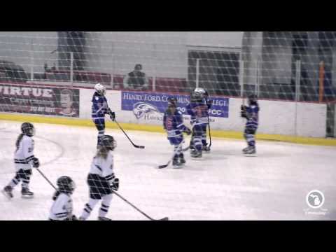 2015 Girls' 10U Tier 2 state title game